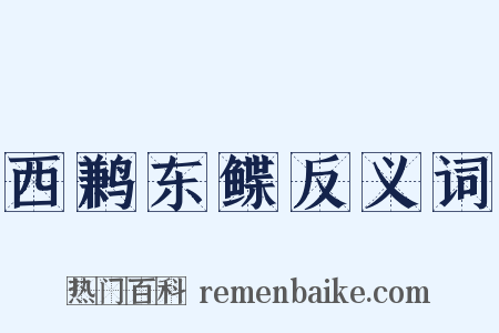 西鹣东鲽反义词是什么意思的图片